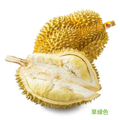 四叶莲多少钱 留莲价格多少钱