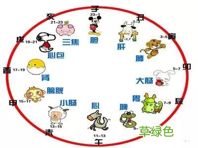 十二生肖与十二时辰是如何对应的? 猴什么时辰