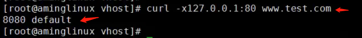 nginx正向代理与反向代理详解