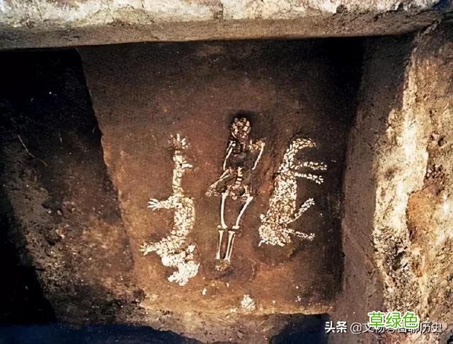 甲骨文“子女”并不是儿子和女儿，而是“禹”“虞”二字的简写 籽字念什么