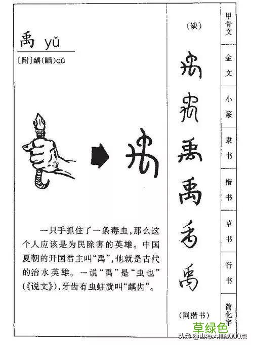 甲骨文“子女”并不是儿子和女儿，而是“禹”“虞”二字的简写 籽字念什么