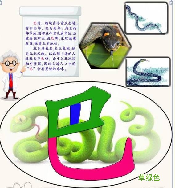 3.字源识字——巴、邑=阝、阝=阜、色 粟姓氏怎么读