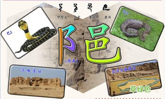 3.字源识字——巴、邑=阝、阝=阜、色 粟姓氏怎么读