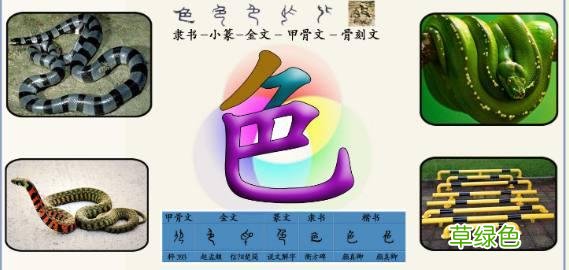 3.字源识字——巴、邑=阝、阝=阜、色 粟姓氏怎么读