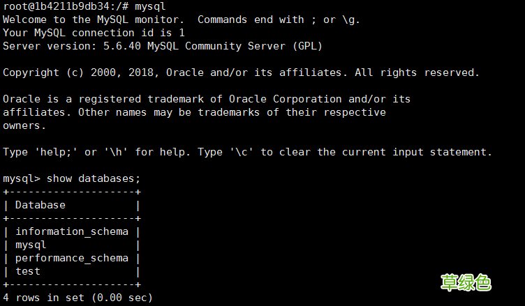 docker中使用mysql数据库实现局域网访问