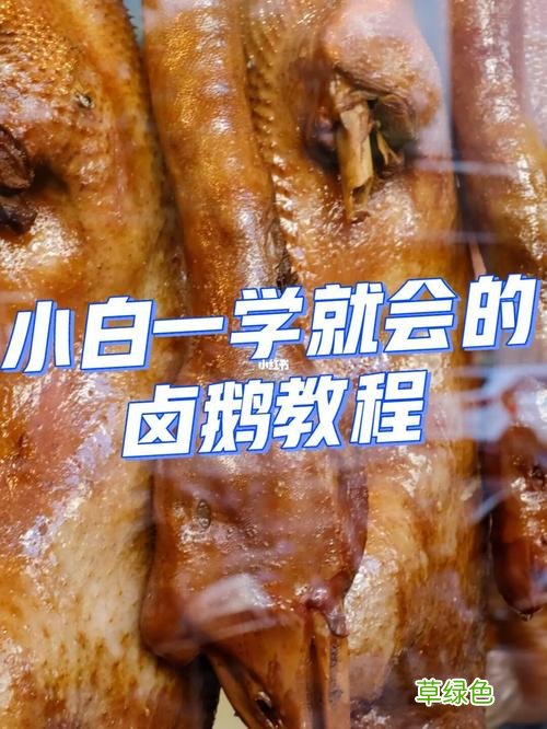 澄海卤鹅多少钱一只 卤鹅价格多少钱