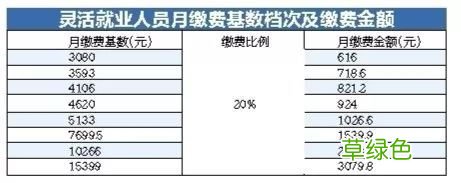 职工保险怎样缴纳 职工保险怎样缴