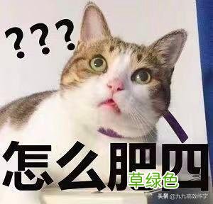 这4个书法冷知识，据说只有4%的人知道，颠覆认知！ 繁体怎么写浩