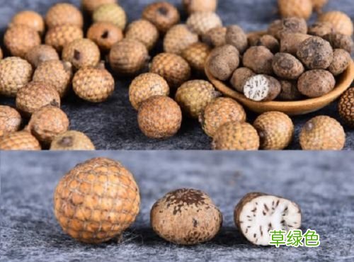 海南黄藤果能做出多大尺寸的星月菩提？