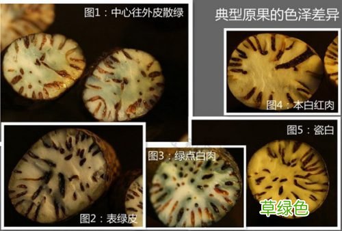 如何判断星月菩提阴皮是否染色?
