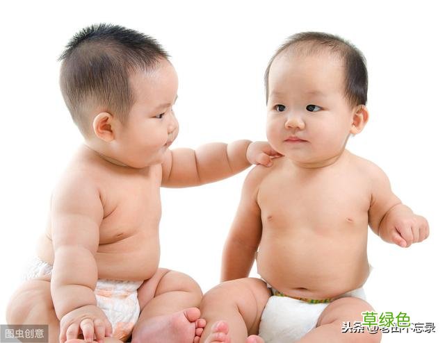 宝宝起名：五维全息和十二生肖起名法 没一点稀的 肖怎么取名