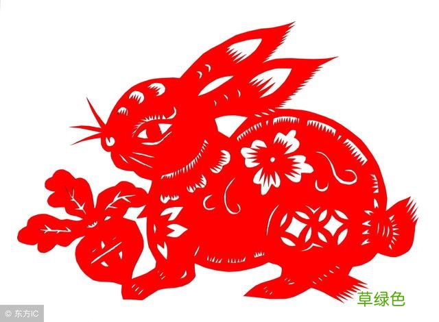 「文化常识」十二生肖 -Z属什么