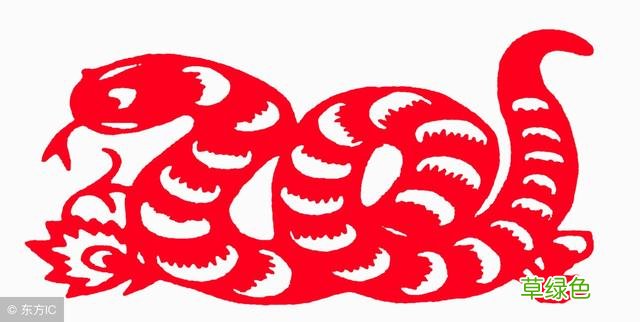 「文化常识」十二生肖 -Z属什么