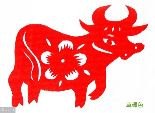 「文化常识」十二生肖 -Z属什么
