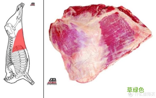 值无不言：庖丁解牛，牛肉所有部位专业大解析 -t霖怎么读