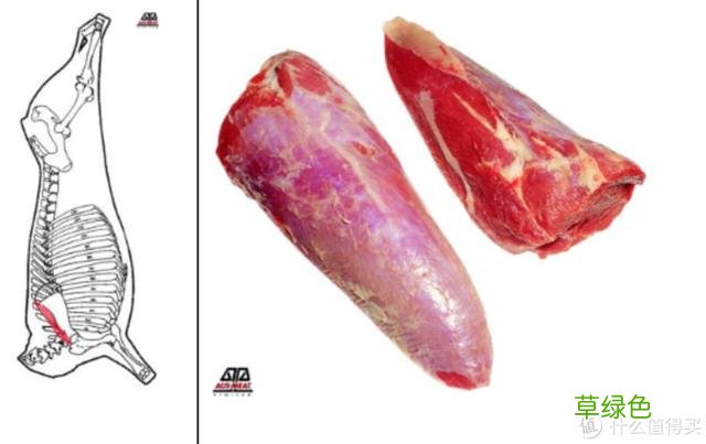 值无不言：庖丁解牛，牛肉所有部位专业大解析 -t霖怎么读