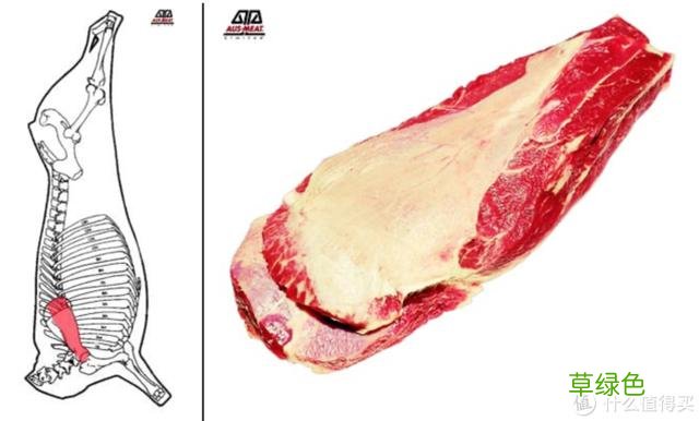 值无不言：庖丁解牛，牛肉所有部位专业大解析 -t霖怎么读