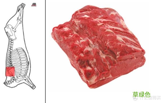 值无不言：庖丁解牛，牛肉所有部位专业大解析 -t霖怎么读