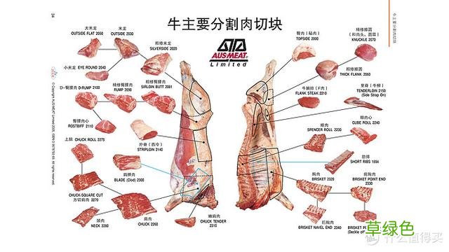 值无不言：庖丁解牛，牛肉所有部位专业大解析 -t霖怎么读