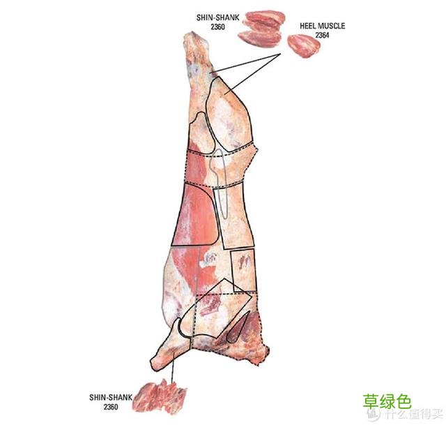 值无不言：庖丁解牛，牛肉所有部位专业大解析 -t霖怎么读