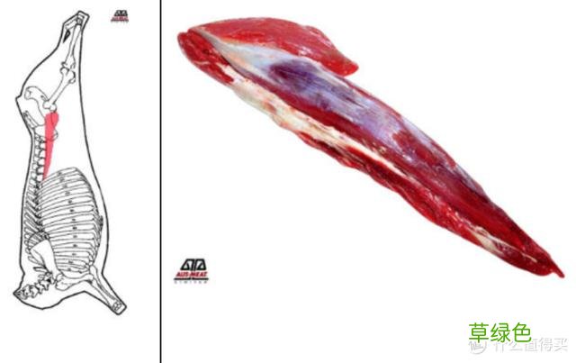 值无不言：庖丁解牛，牛肉所有部位专业大解析 -t霖怎么读