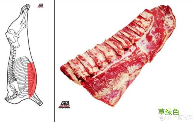 值无不言：庖丁解牛，牛肉所有部位专业大解析 -t霖怎么读