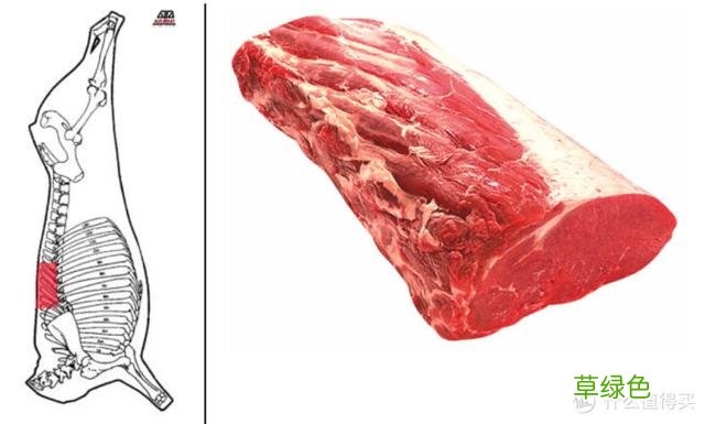 值无不言：庖丁解牛，牛肉所有部位专业大解析 -t霖怎么读