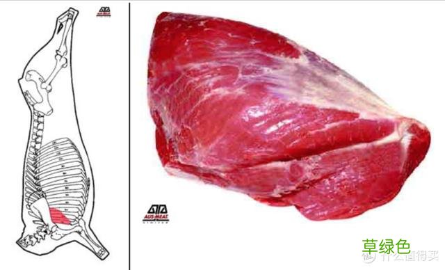 值无不言：庖丁解牛，牛肉所有部位专业大解析 -t霖怎么读