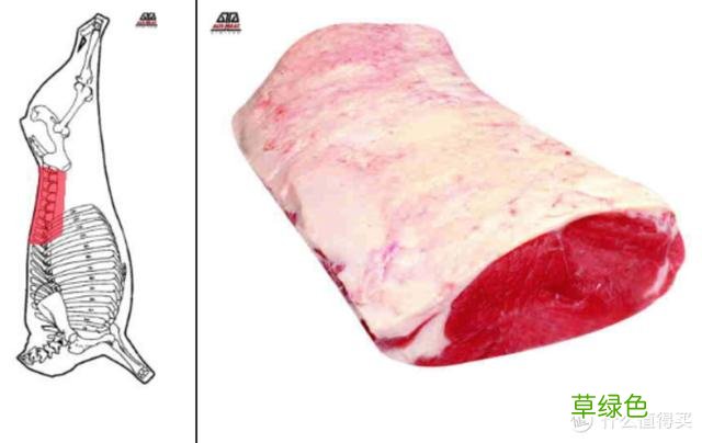 值无不言：庖丁解牛，牛肉所有部位专业大解析 -t霖怎么读