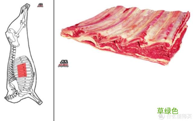 值无不言：庖丁解牛，牛肉所有部位专业大解析 -t霖怎么读