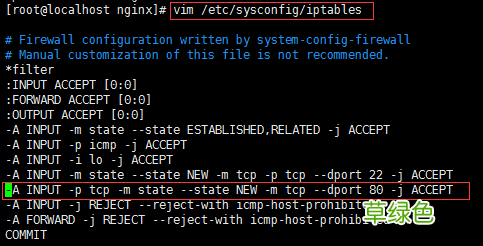 Nginx Linux安装部署详细教程