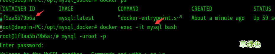 Deepin使用docker安装mysql数据库过程详解