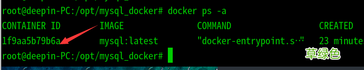 Deepin使用docker安装mysql数据库过程详解