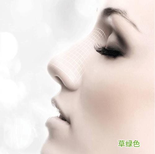 假体隆鼻价格需要多少钱 隆鼻价格多少钱