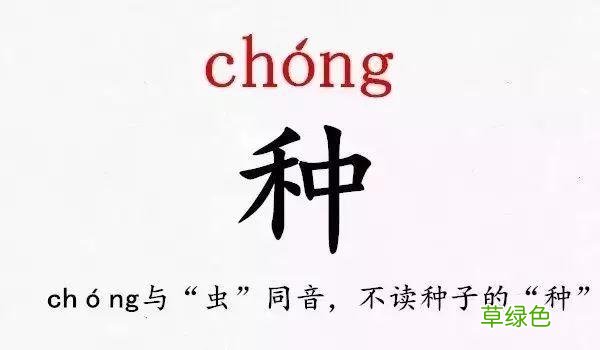 史上最难认的39个姓氏，你和孩子能读对几个？ -Q姓氏怎么读