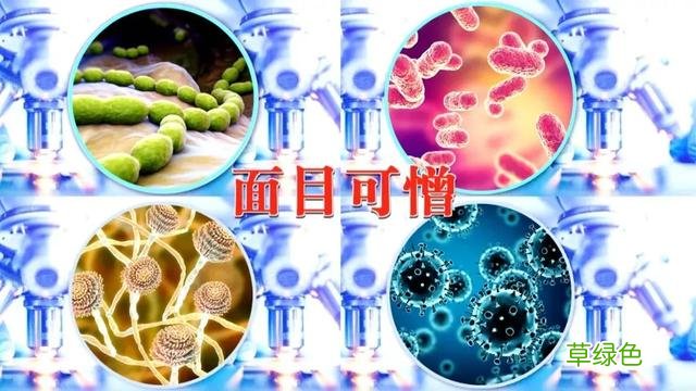 擦亮眼睛！包装上有这几个字的慎买，这些天天在吃的尤其要留意 -f什么字