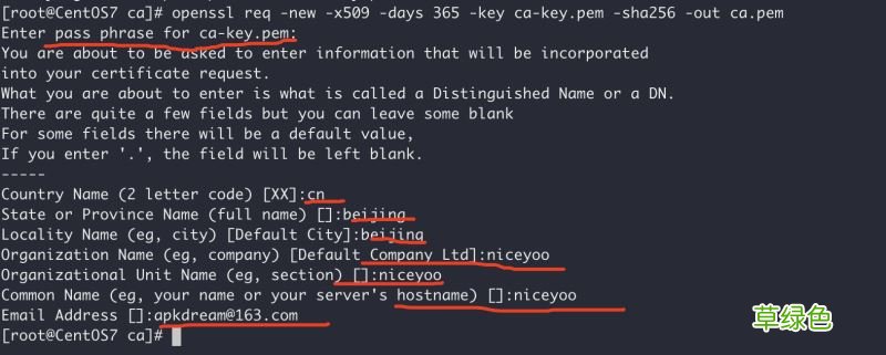 Docker开启远程安全访问的图文教程详解