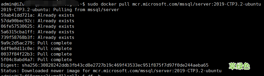 使用Docker运行SQL Server的实现