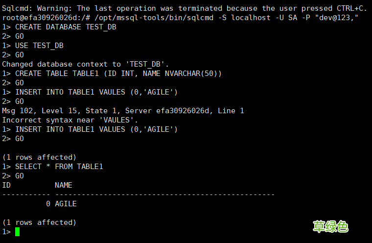 使用Docker运行SQL Server的实现