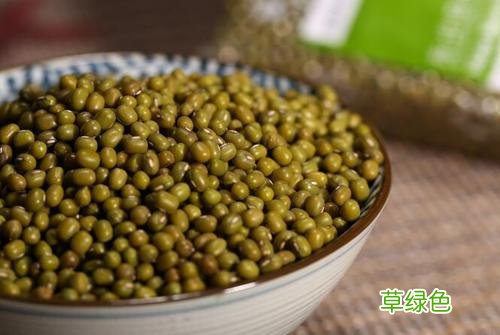 绿兰兰花价格 绿兰价格多少钱