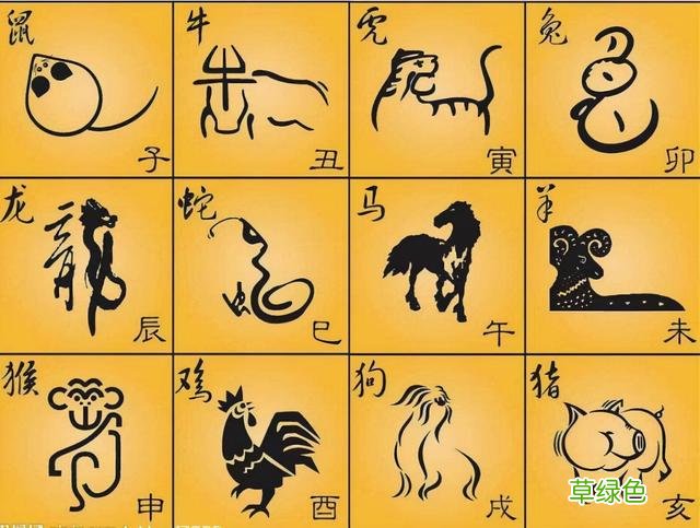 “十二生肖”的阴阳属性，其实和爪子有关，如何划分的 籽是什么属性