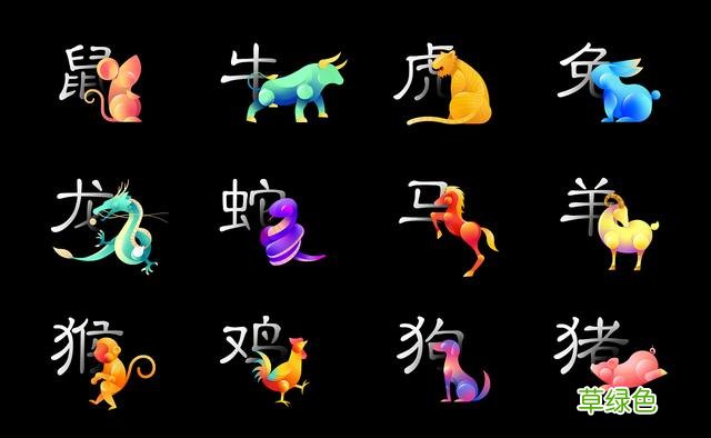 “十二生肖”的阴阳属性，其实和爪子有关，如何划分的 籽是什么属性