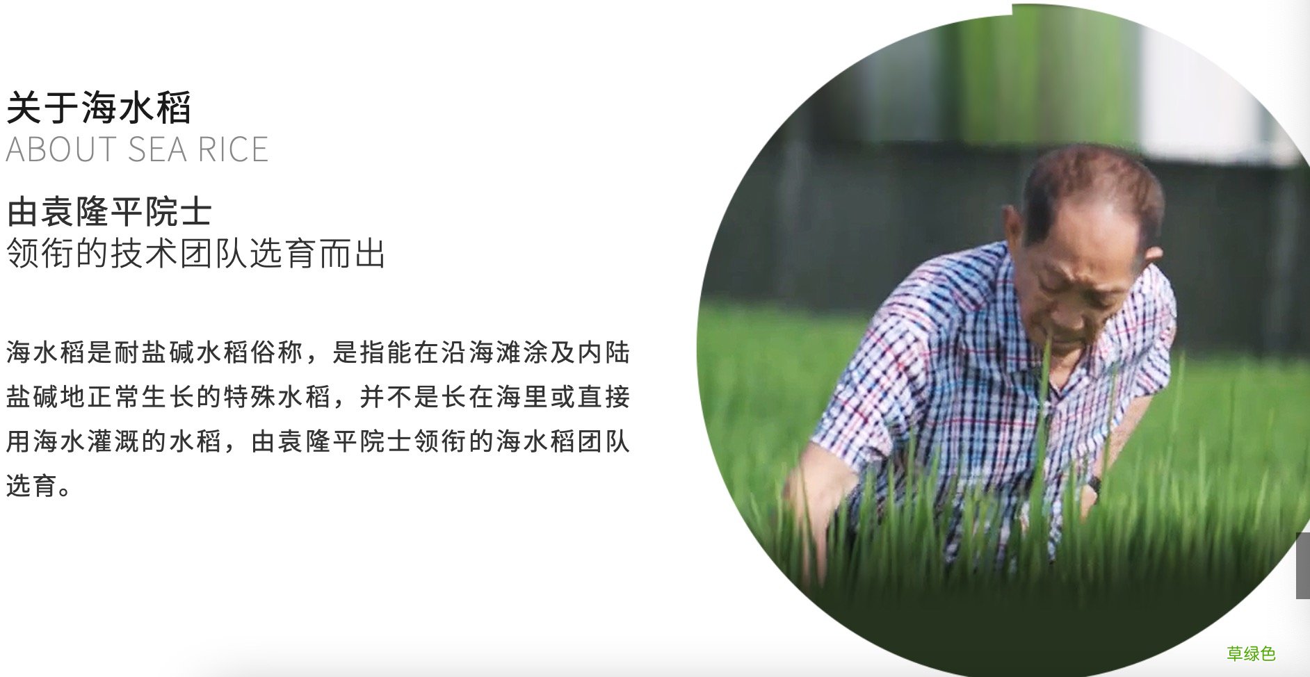 薇娅直播间卖的“袁米”被判侵权：侵犯袁隆平姓名和肖像权