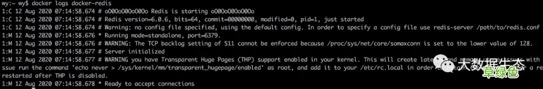 在Docker中使用Redis的步骤详解