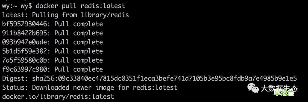 在Docker中使用Redis的步骤详解
