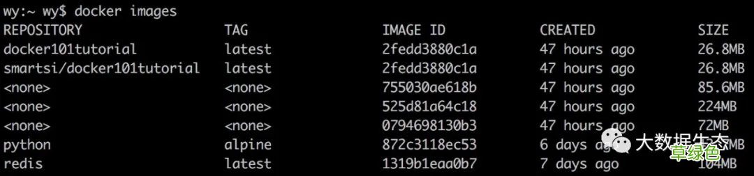 在Docker中使用Redis的步骤详解