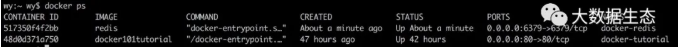 在Docker中使用Redis的步骤详解