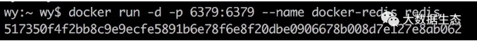 在Docker中使用Redis的步骤详解