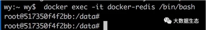 在Docker中使用Redis的步骤详解