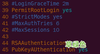 使用VSCode的Remote-SSH连接Linux进行远程开发